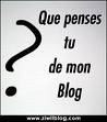 que pensé vous de mon blog?